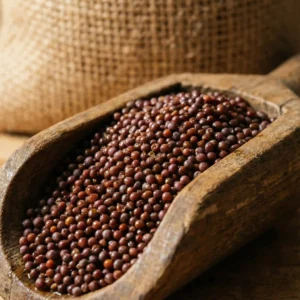 Wooden scoop filled with premium high-oil mustard seeds.