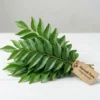 Fresh organic curry leaves bunch from Sherwah Farm showing water droplets and harvest tag on white background.