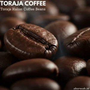 Toraja Coffee Beans: A Taste of Sulawesi